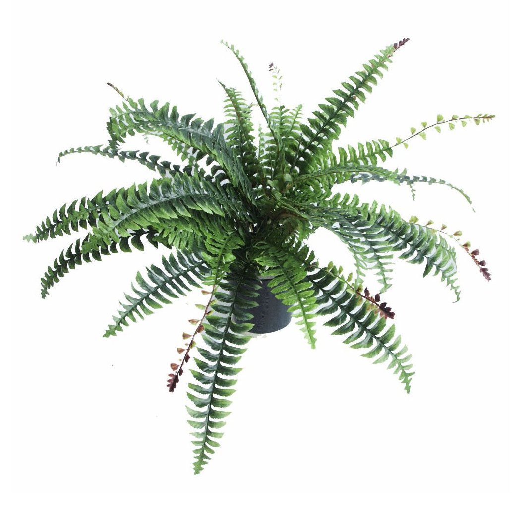 Leaf Large Artificial Fern Plant with Pot, Boston Bushy, 60cm