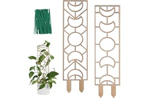 WellSign Plant Trellis for Climbing Plants Indoor Pot, 16.3 inch Small Wooden Trellis for Potted Plants with Moisture-Proof Layer for Vines Ivy Hoya Houseplants, Moon and Geometric Shape Design 2 Pack