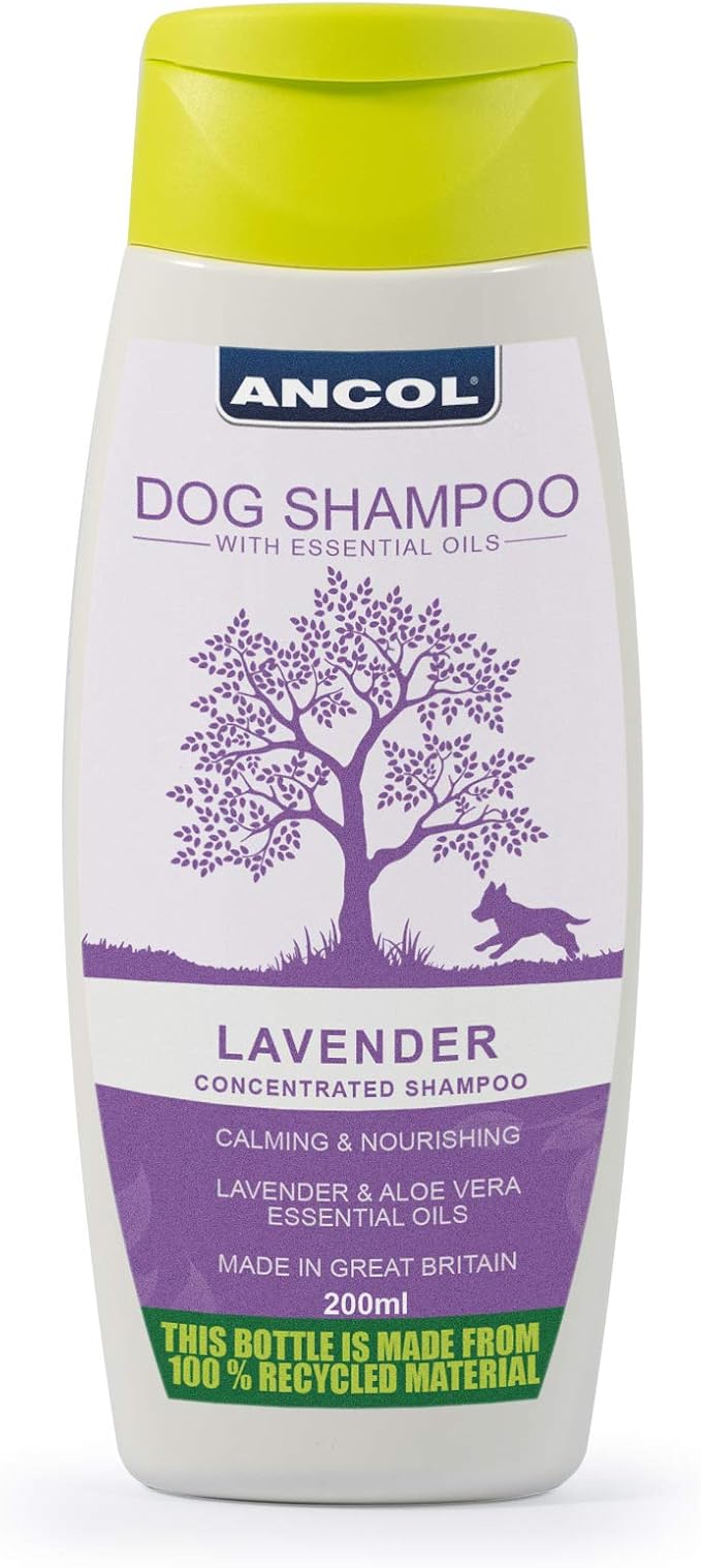 ancol dog shampoo