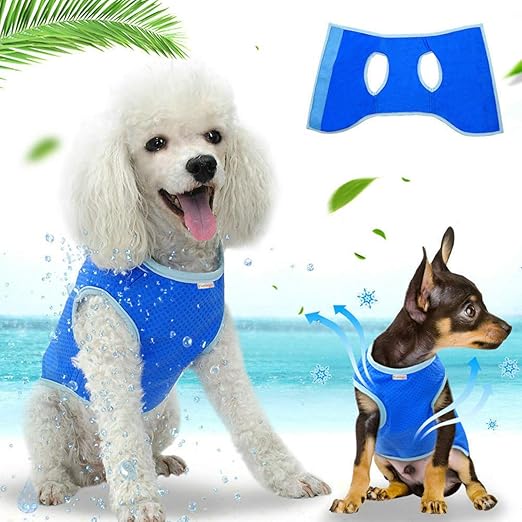 dog cooling jacket amazon