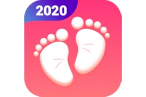 Ovulation Calendar & Fertility