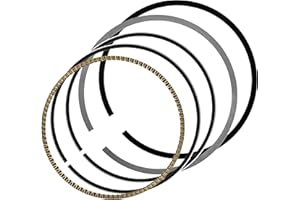 Caltric Piston Rings Compatible with Honda XL250S 1979-1981 / ATC250SX 1985-1986 / BIG RED 250 ATC250ES 1985-1987