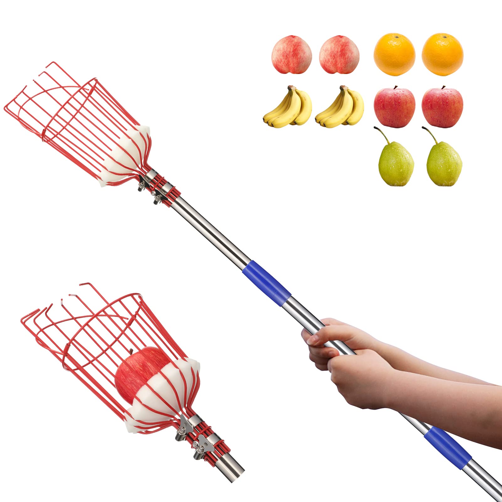 Photo 1 of Fruit Picker Pole with Basket - 13 Foot Adjustable Height Fruit Picker Tool with Stainless Steel Fruit Picking Pole for Apple Cherry Berry Fit Orange Blueberry Mango Avocado Lemon Peach