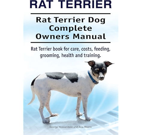 rat terrier grooming