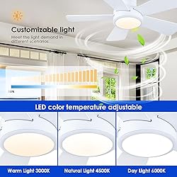 Ceiling Fans with Lights,Modern Low Profile Ceiling