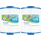 BLUEFLO PAS50SV-F2M Spa Filter Cartridge Replaces for Unicel 6CH-502, Artesian Spas, Filbur FC-0311, PAS502SV, PAS50, Master Deluxe M60506, XLS-604 Hot Tub Filter (2 Pack)