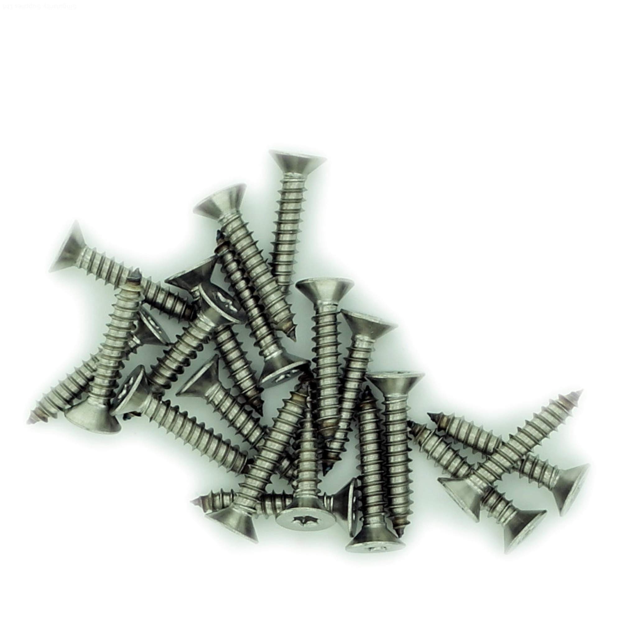 No.10 x 3.15 (4.8mm x 80mm) TX Countersunk Self-Tapping Screw - Stainless Steel (A2) (Pack of 20) — image 1