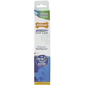 Nylabone Advanced Oral Care Natural Peanut Flavored Dog Toothpaste