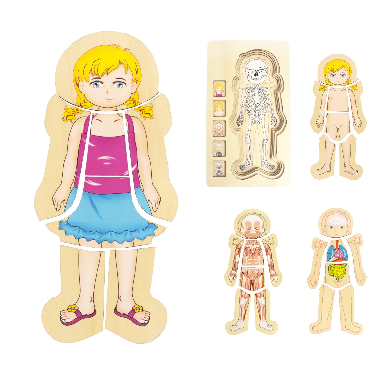 WOODENFUN Human Body Puzzles for Kids 3-5,Wooden Montessori Anatomy Play Set, Human Body Model Puzzle for Preschoolers and Kids Ages 3+ (Girls)