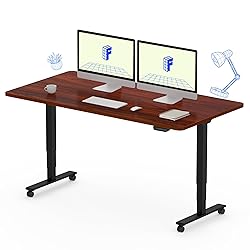 FLEXISPOT E6 Dual Motor 3 Stages Standing Desk