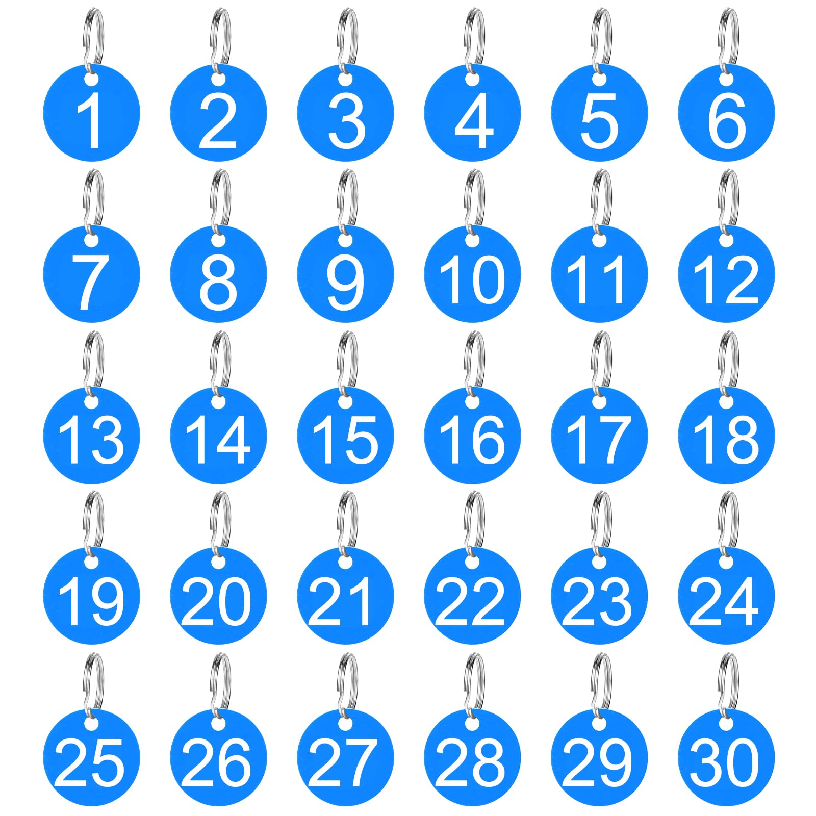 30 Pack 1-30 Plastic Numbers Tags with Key Rings, Numbered Keychain Tags for Dormitory Keys House Lockers Blue 1-3/8 Inches Rond Number Tags