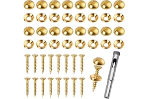 Lainballow 16 Pcs Brass Decorative Screws with Caps, 15 mm Self-Tapping Screws with Decorative Cover, Decorative Caps Cover Nails for Furniture Mirror Sign Advertising Glass Fixing (Gold)