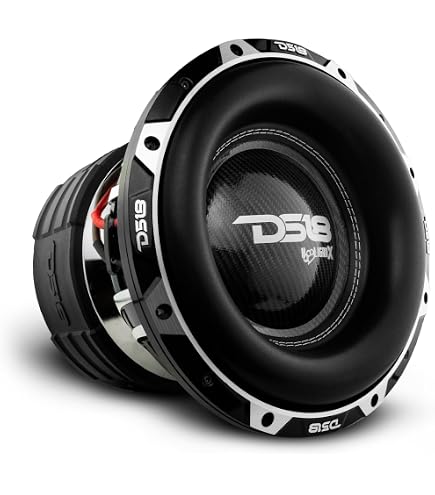 Amazon.com: DS18 ZXI15.4D 15