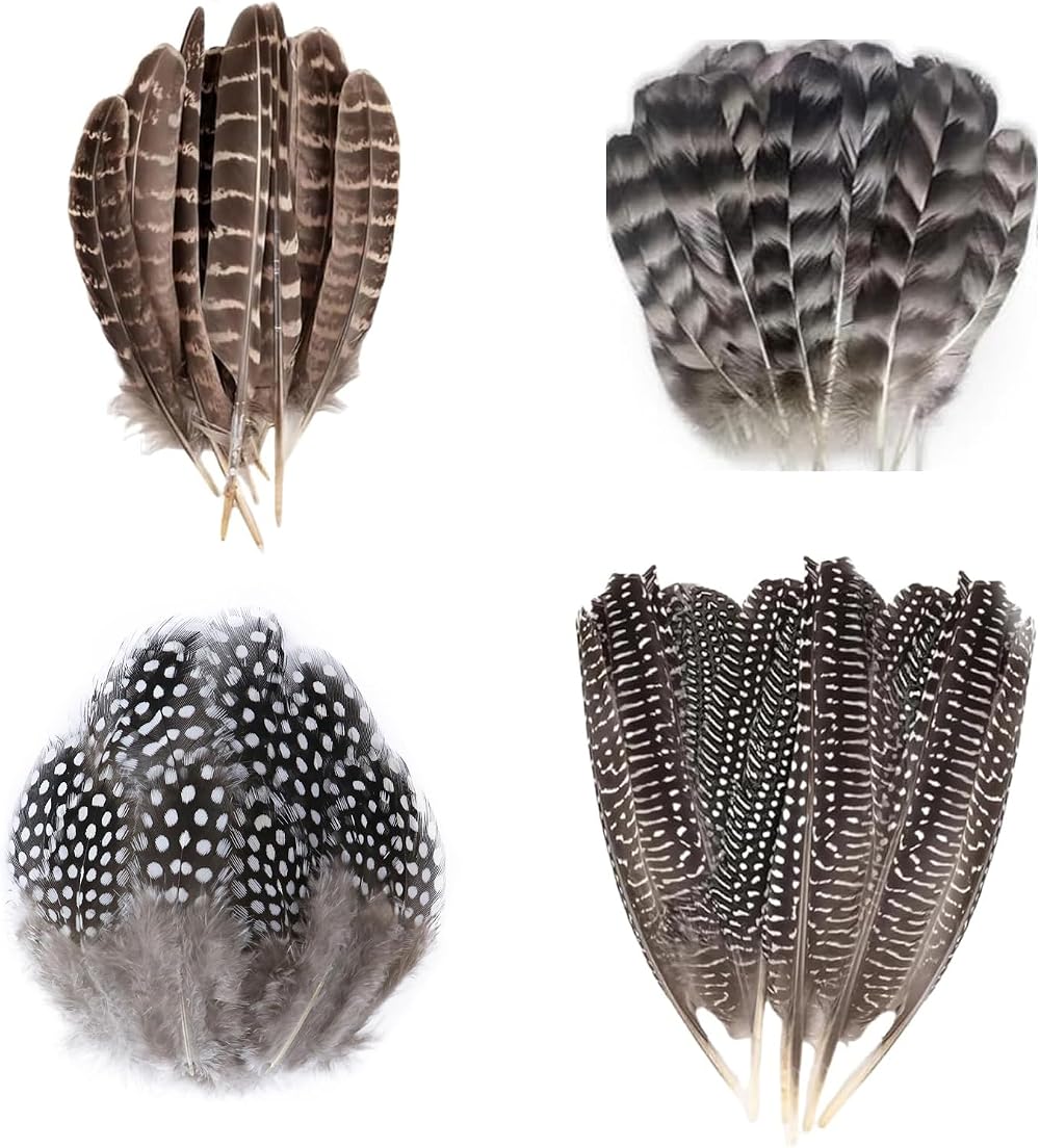 TZMFHD 50 Pcs Pheasant Feathers 12-20cm Natural Craft Feathers 4 Styles DIY