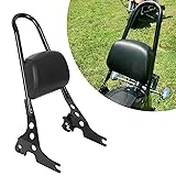 ECOTRIC Detachable Sissy Bar with Backrest