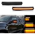 Aexploer Side Mirror Turn Signal Lights LED Assembly Compatible with F150 2009-2014/for Mark LT 2010-2014,Blink Turn Marker Lamp Dynmaic Sequential (Smoked Len Switchback Amber Yellow Light)