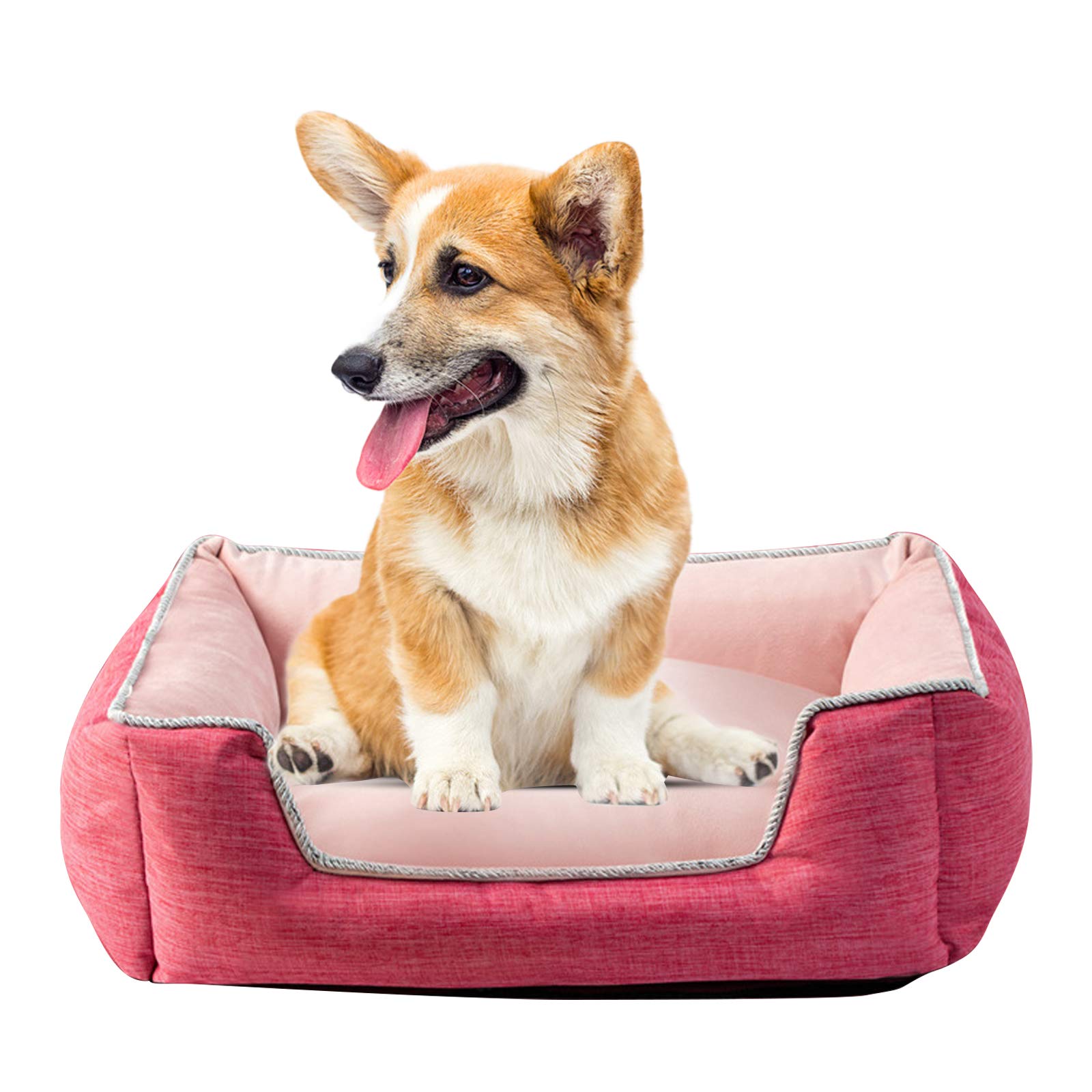 PETCUTE Dog Bed Medium Washable Cat Beds for Indoor Cats Pet Bedding Improved Sleep Cat Cushion for Medium Cats Dog