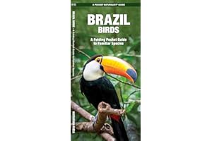 Brazil Birds