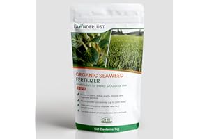 Lawnderlust Super Concentrate (up to 2,000 LITRES) Organic Seaweed Fertilizer Plant Food for Lawn & Garden