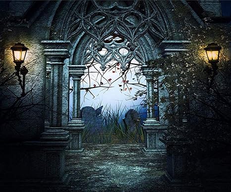 Amazon Co Jp 10x8フィート ハロウィン 城 ドア 写真 背景 デジタルアート 写真 ミステリアス 宮殿 ドリーム 背景 写真ブース カメラ