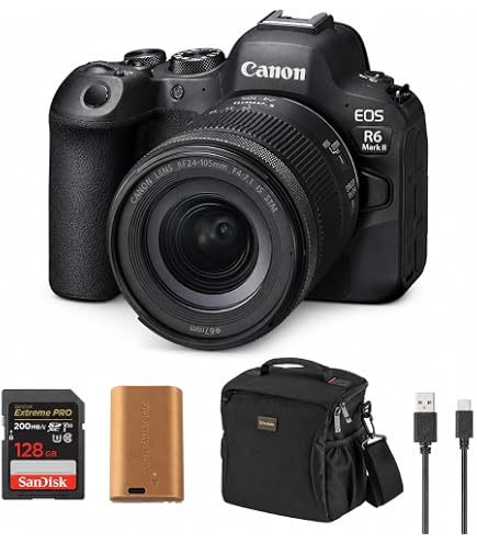 Amazon.com : Canon EOS R6 Mark II RF24-105mm F4 L is USM KIT with