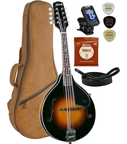 Amazon.com: 金色調,12 弦曼陀林,自然色(F-12) : 樂器
