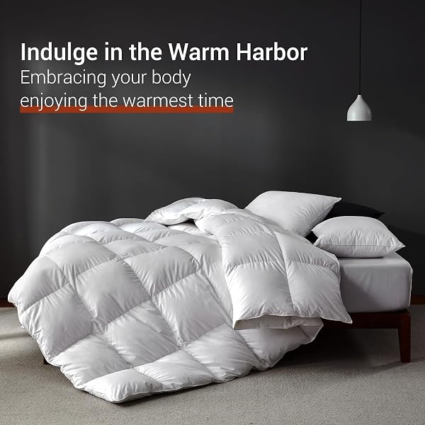 SAISIER WHITE GOOSE FEATHER DOWN COMFORTER CAL KING SIZE, PREMIUM ALL SEASON DUVET INSERT, 750 FILL POWER 1200TC COTTON BLEND FABRIC HOTEL STYLE COMFORTER, 52 OZ LIGHTWEIGHT (104X96,WHITE)