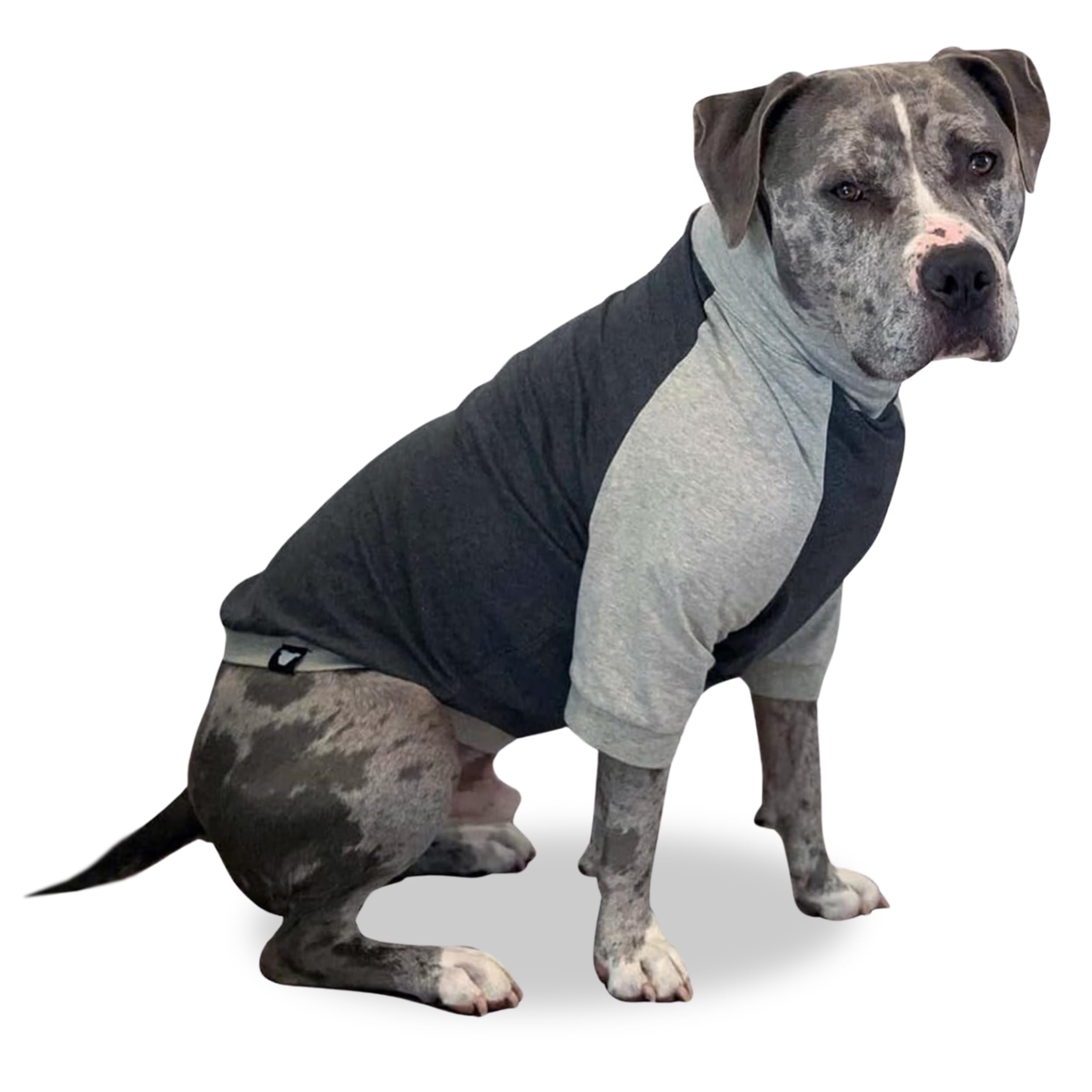 Tooth & Honey Large Dog Clothing/Dog Pullover/Light Weight Shirt/Color Block Shirt/Summer Shirt/Dark Grey/Allergy Shirt