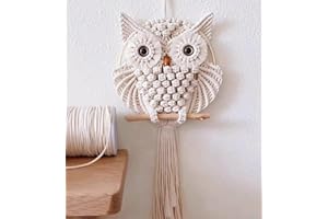 HARWAVE Owl Macrame Wall Hanging, Hand Woven Boho Tapestry Owl Macrame Wall Art Decor for Living Room Office Bedroom (Medium)