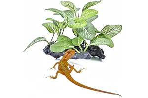 MRTIOO Reptile Artificial Plants, Terrarium Plants Decorations Supplies, Amphibian Habitat Hideout Tank Accessories, Rainforest Ground Plant (I)