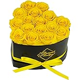 GLAMOUR BOUTIQUE 16 Flower Forever Heart Shape Box, Eternal Preserved Roses Gift for Her, Lasting Flowers, Romantic Floral Keepsake for Birthday, Anniversary or Valentine’s Day, Yellow (Color-Treated)