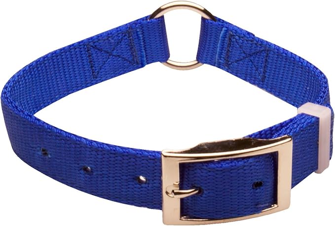 nite lite dog collars