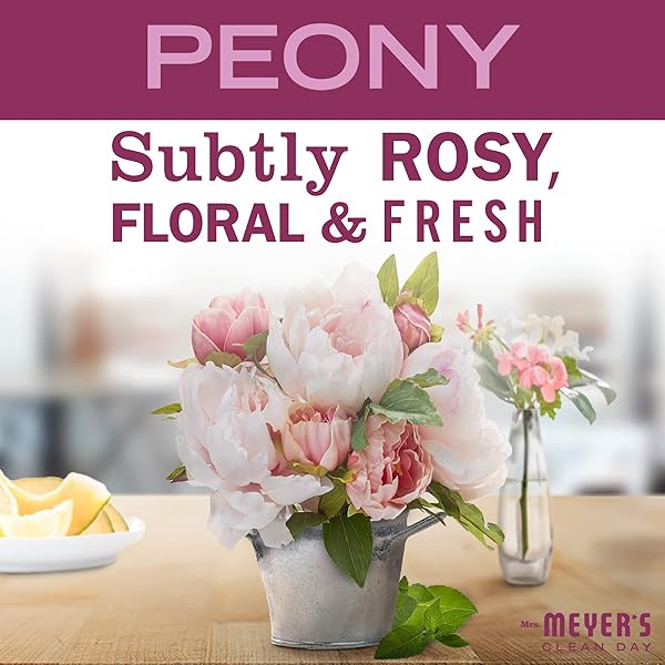 MRS. MEYER’S CLEAN DAY LIQUID DISH SOAP, BIODEGRADABLE FORMULA, PEONY, 16 FL. OZ