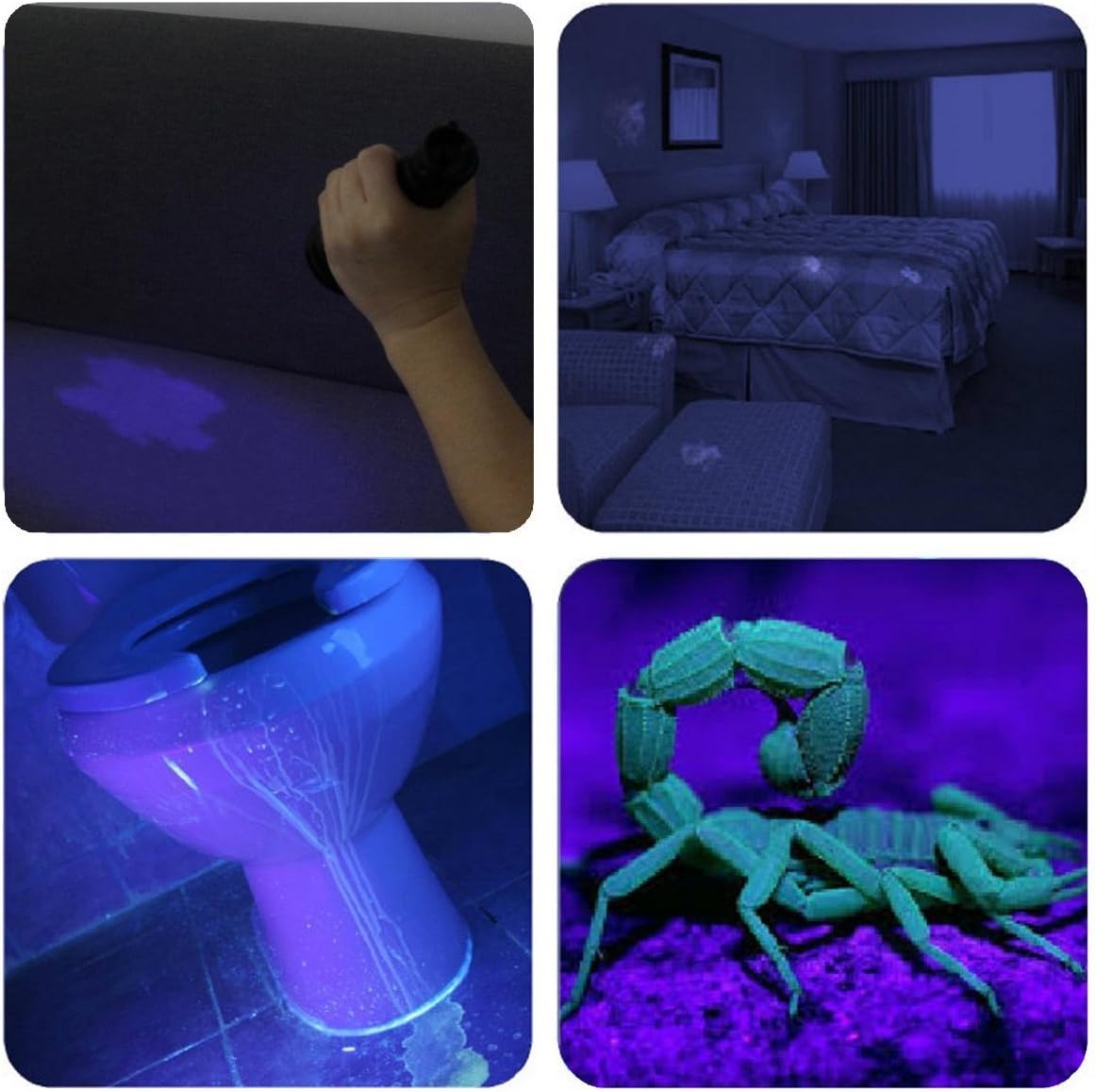 Vansky Flashlight Black Light 51 LED Blacklight Detector for Dog/Cat Urine,Dry Stains,Bed Bug, Matching with Pet Odor Eliminatornator, Eliminator, uv-2: Home Improvement