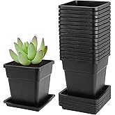 JEUIHAU 16 Packs 5.5 Inch Plastic Square Nursery Pots, Black Square Nursery Plant Pot with Saucers, Seedling Nursery Transplanting Planter for Flower, Succulent, Herb, Small Potted Plants