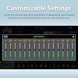 Magic Sing 2025 New All-in-One Magicsing Karaoke