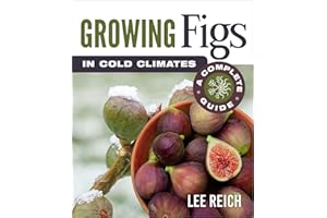 Growing Figs in Cold Climates: A Complete Guide