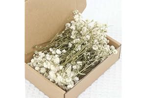 Dried Baby's Breath and Eucalyptus Bundle, 6-15cm Preserved Flowers for DIY Crafts, Home Decor, and Floral Arrangements - Nat