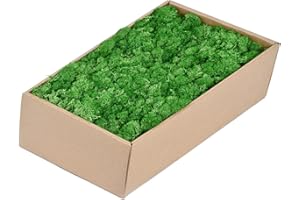 TAIKUU 久の物 1.1lb Moss Preserved Artificial Moss Fake Moss Green Moss Reindeer Moss for Craft Arts Floral Project Planters Table Decor Wedding Garden Terrariums Decoration (Green)…