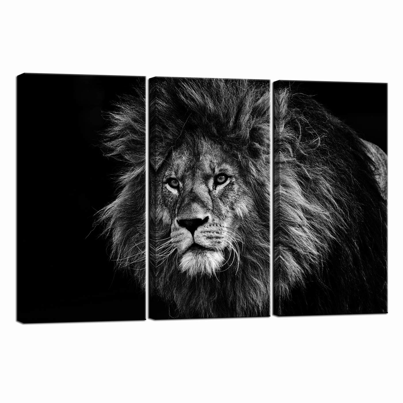 Photo 1 of LevvArts Lion Wall Art Canvas Black and White Lion Painting Print Modern 3 Piece Artwork for Home Office Wall Decor Ready to Hang 16x32x3