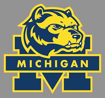 Image result for michigan wolverines