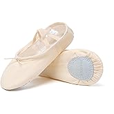 Danzcue Adult Canvas/Leather Ballet Shoes
