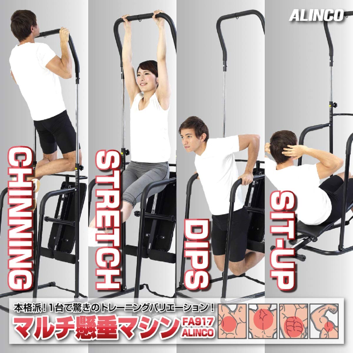 最も優遇 Alinco アルインコ マルチ懸垂マシン ぶら下がり健康器 Fa917 シットアップベンチ エクササイズロープ 高さ調節機能付 B01n354ftm 全ての Tcp24 News