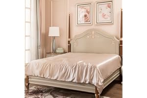 PROMEED 22 Momme 6A Silk California King Duvet Cover with Zipper and Corner Tie, Oeko-Certified Mulberry Silk Quilt/Comforter Cover (Champagne, California King)