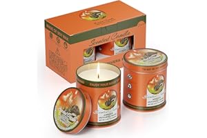 Amber & Vetiver & Musk Scented Candles Set | 2Pack 510g 8% Essential Oil,60H Burn Time | Pure Soy Wax Aromatherapy Jar Tin Ca