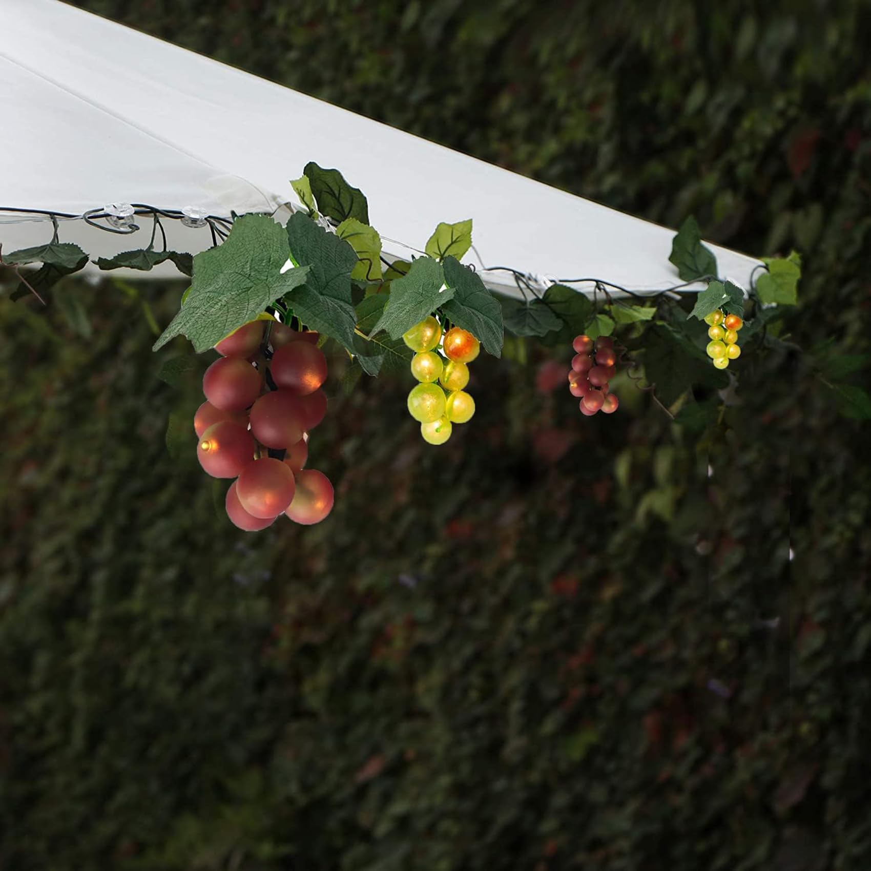 DINOWIN Solar String Lights Outdoor, Garden Fairy Lights with 80 LED, 8 Bunches Fake Grapes Artificial Grapes Hanging Garland Fairy Light for Home Wedding Party Cabinet (Purple+Green)
