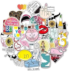 Paquete de 46 pegatinas Vsco bonitas, pegatinas para botella de agua