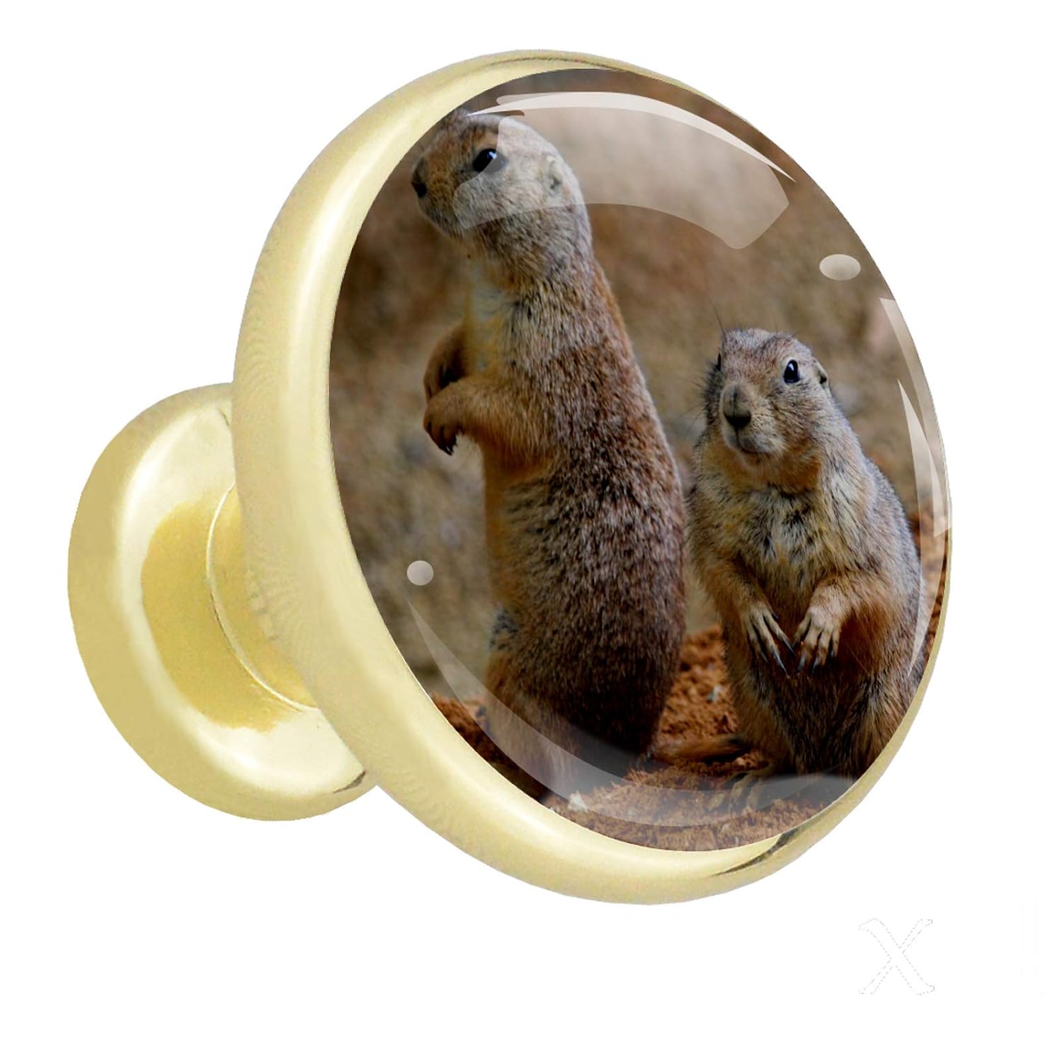 Schrankknöpfe Süßes Murmeltier Vintage Cabinet Hardware Runder Knopf