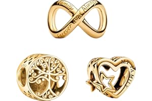 YUMINN 925 Sterling Silver Charms for Bracelets Gold Love and Heart Charms Cherry Blossom Dangle Beads Jewelry for Women