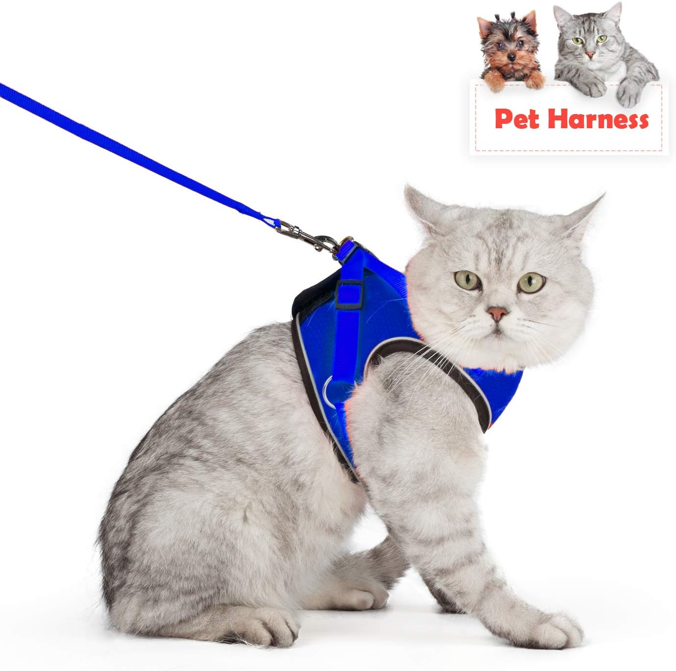 Pet Cat Dog Harness Adjustable Puppy Kitten Walking Harness Soft Mesh Cat Vest Harness with Reflective Strips Escape Proof Small Cat and Dog Harness